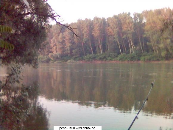 pescuit pe dunare, la dabuleni - "locul de platica" - PESCUIT LA DUNARE SI IN DELTA DUNARII