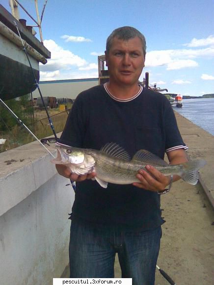 pescuit pe dunare la galati - nu mai trage somnul.........a inceput - PESCUIT LA DUNARE SI IN DELTA DUNARII