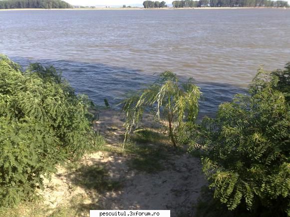 pescuit pe dunare la galati - din pacate nu am mai ajuns la - PESCUIT LA DUNARE SI IN DELTA DUNARII