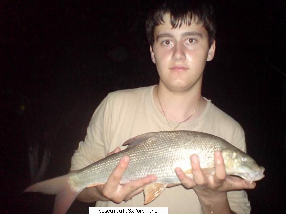 pescuit pe prut - p.s. tenul de mai sus are 8 kg mreana de 2 kg - POZELE MELE - PESCUIT