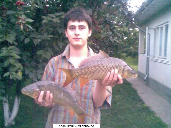 pescuit pe prut - 2 puisori de crap cam de aprox 2 kg - POZELE MELE - PESCUIT