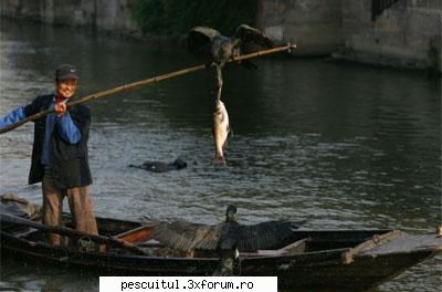 pescuitul cu undita - 為支助如亞省 - PESCUIT STATIONAR