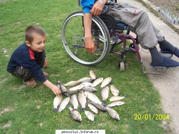 pescuitul pe canale - barateaz jud timis - aici puteti vedea ce peste se prinde - LOCURI DE PESCUIT - BALTI
