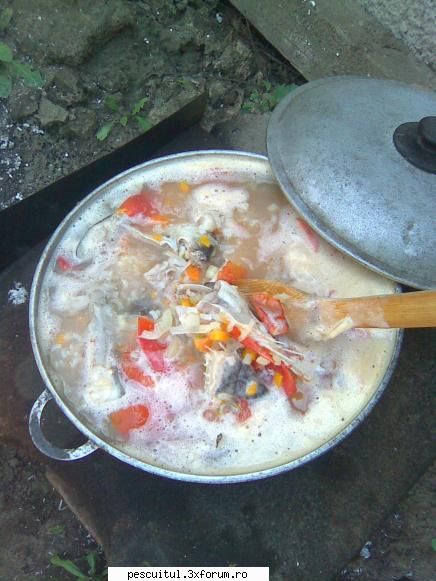 poftiti la bors - danistrate - POZELE MELE - PESCUIT