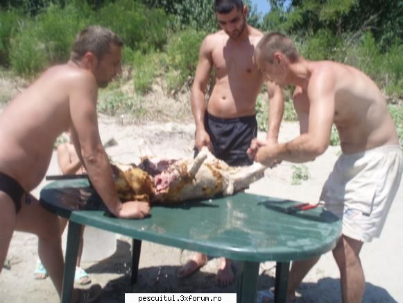 purcel..... - ispasirinel - RETETE - bors de peste , peste la gratar , peste la cuptor ....