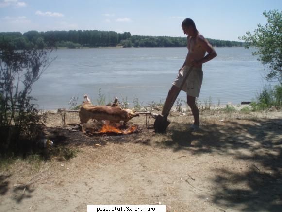 purcel..... - ispasirinel - RETETE - bors de peste , peste la gratar , peste la cuptor ....