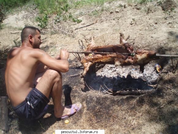 purcel..... - ispasirinel - RETETE - bors de peste , peste la gratar , peste la cuptor ....