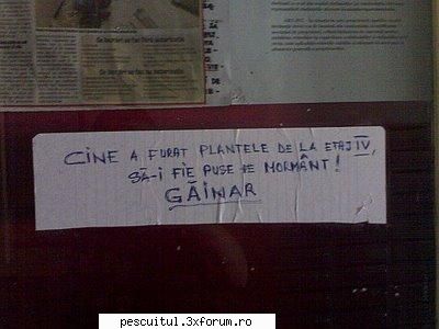 scrie romaneste ! sa se inteleaga !!! - Modigliani - NEURONU` ZAMBARET - BANCURI , HAIOASE , FUNNY