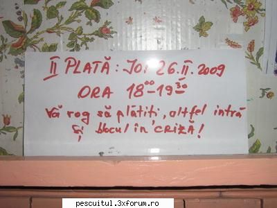 scrie romaneste ! sa se inteleaga !!! - Modigliani - NEURONU` ZAMBARET - BANCURI , HAIOASE , FUNNY