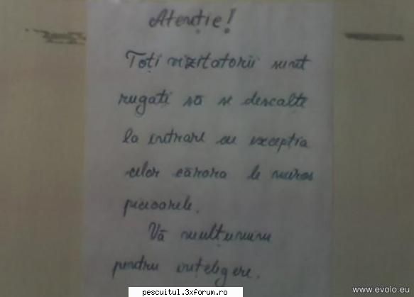 scrie romaneste ! sa se inteleaga !!! - Modigliani - NEURONU` ZAMBARET - BANCURI , HAIOASE , FUNNY