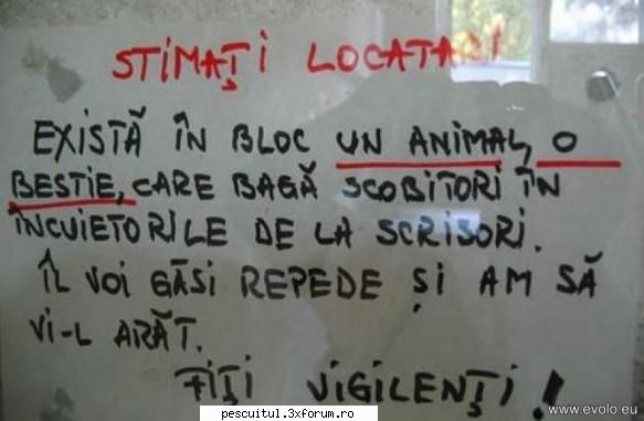 scrie romaneste ! sa se inteleaga !!! - Modigliani - NEURONU` ZAMBARET - BANCURI , HAIOASE , FUNNY