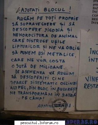 scrie romaneste ! sa se inteleaga !!! - Modigliani - NEURONU` ZAMBARET - BANCURI , HAIOASE , FUNNY