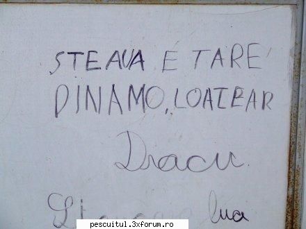 scrie romaneste ! sa se inteleaga !!! - Modigliani - NEURONU` ZAMBARET - BANCURI , HAIOASE , FUNNY