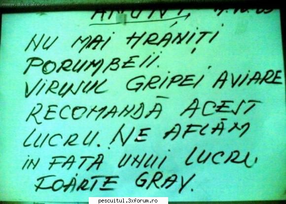 scrie romaneste ! sa se inteleaga !!! - Modigliani - NEURONU` ZAMBARET - BANCURI , HAIOASE , FUNNY