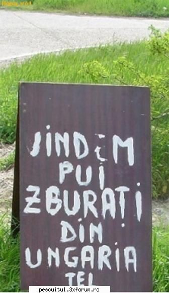 scrie romaneste ! sa se inteleaga !!! - Modigliani - NEURONU` ZAMBARET - BANCURI , HAIOASE , FUNNY