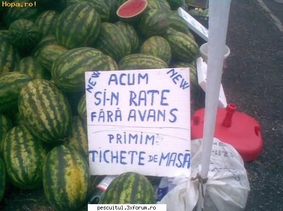 scrie romaneste ! sa se inteleaga !!! - Modigliani - NEURONU` ZAMBARET - BANCURI , HAIOASE , FUNNY