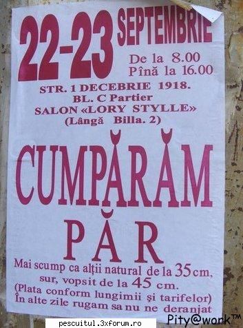 scrie romaneste ! sa se inteleaga !!! - cataimob - NEURONU` ZAMBARET - BANCURI , HAIOASE , FUNNY