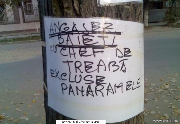 scrie romaneste ! sa se inteleaga !!! - Modigliani - NEURONU` ZAMBARET - BANCURI , HAIOASE , FUNNY