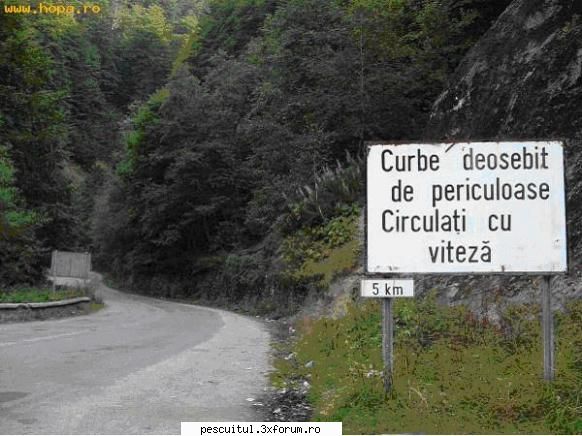 scrie romaneste ! sa se inteleaga !!! - Modigliani - NEURONU` ZAMBARET - BANCURI , HAIOASE , FUNNY