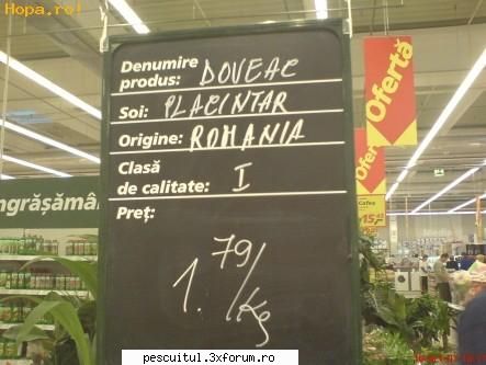 scrie romaneste ! sa se inteleaga !!! - Modigliani - NEURONU` ZAMBARET - BANCURI , HAIOASE , FUNNY
