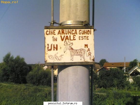 scrie romaneste ! sa se inteleaga !!! - Modigliani - NEURONU` ZAMBARET - BANCURI , HAIOASE , FUNNY