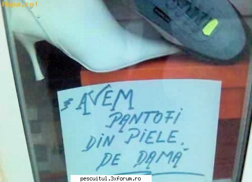 scrie romaneste ! sa se inteleaga !!! - Modigliani - NEURONU` ZAMBARET - BANCURI , HAIOASE , FUNNY