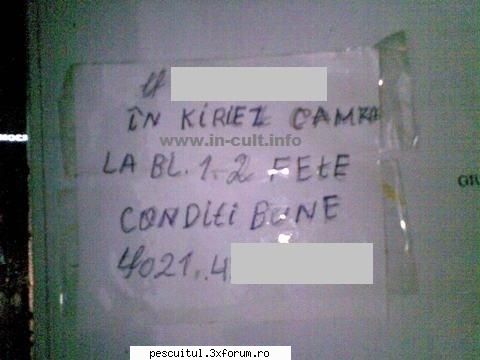 scrie romaneste ! sa se inteleaga !!! - Anunt de ultima ora - NEURONU` ZAMBARET - BANCURI , HAIOASE , FUNNY