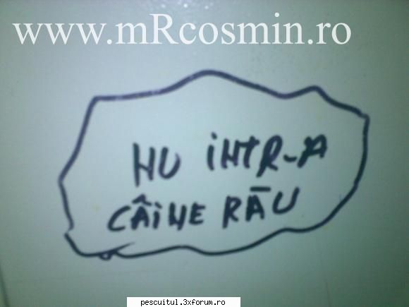 scrie romaneste ! sa se inteleaga !!! - Rockyonutz - NEURONU` ZAMBARET - BANCURI , HAIOASE , FUNNY