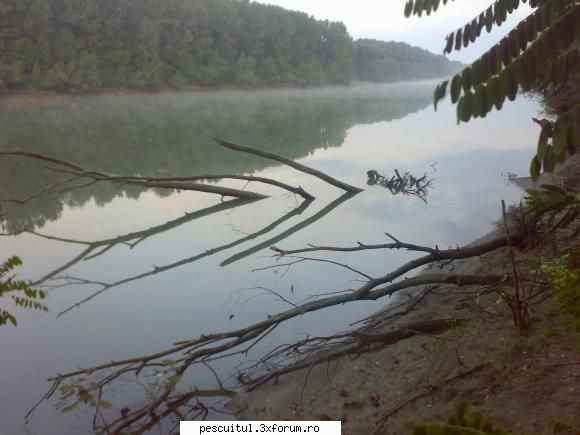 septembrie.. - Paradoxal, Dunarea e scazuta-blana..in fine - PESCUIT LA DUNARE SI IN DELTA DUNARII