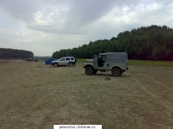 septembrie.. - Asta e..dimineata..nici o miscare, incredibil! - PESCUIT LA DUNARE SI IN DELTA DUNARII