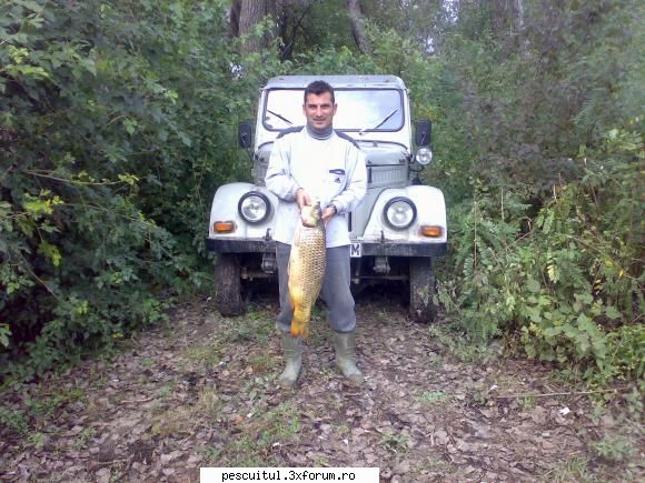 septembrie.. - Fiind singurul (si cel mai mare pe anul asta - PESCUIT LA DUNARE SI IN DELTA DUNARII