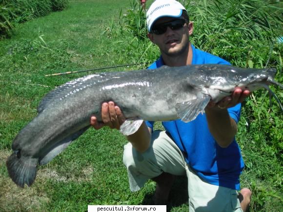 somn african (clarias) - cel mai mare somn african pe care l-am prins - POZELE MELE - PESCUIT