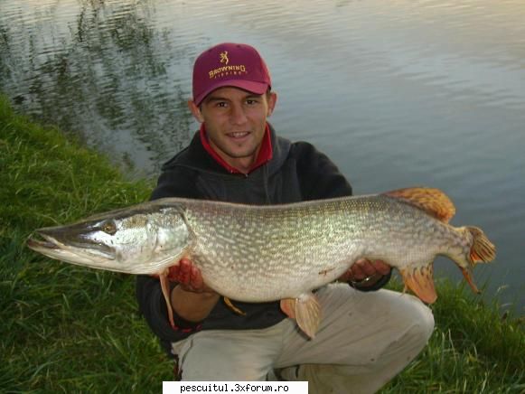 stiuca - recordul meu la stiuca: 6,5 kg - POZELE MELE - PESCUIT