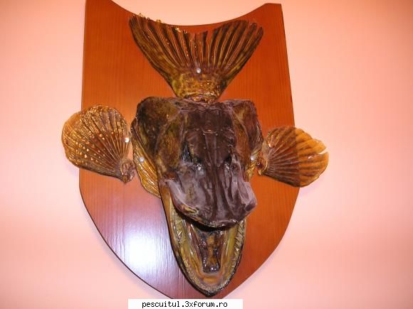 trofeu de stiuca - valy - ATELIER - HOME MADE , BRICO